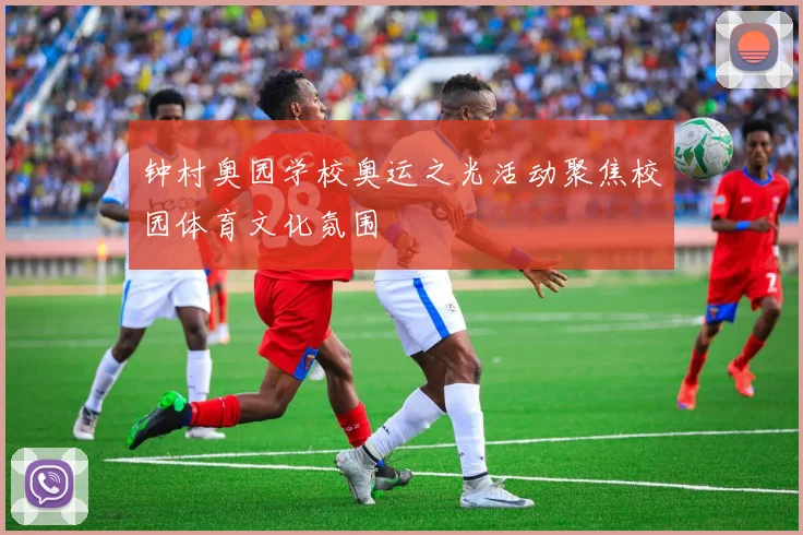 钟村奥园学校奥运之光活动聚焦校园体育文化氛围