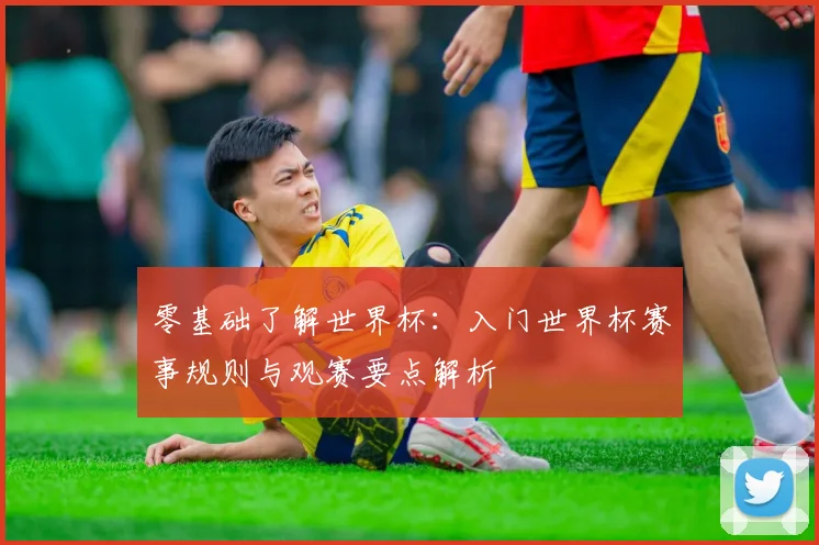 零基础了解世界杯:入门世界杯赛事规则与观赛要点解析
