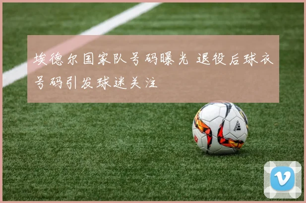 埃德尔国家队号码曝光 退役后球衣号码引发球迷关注
