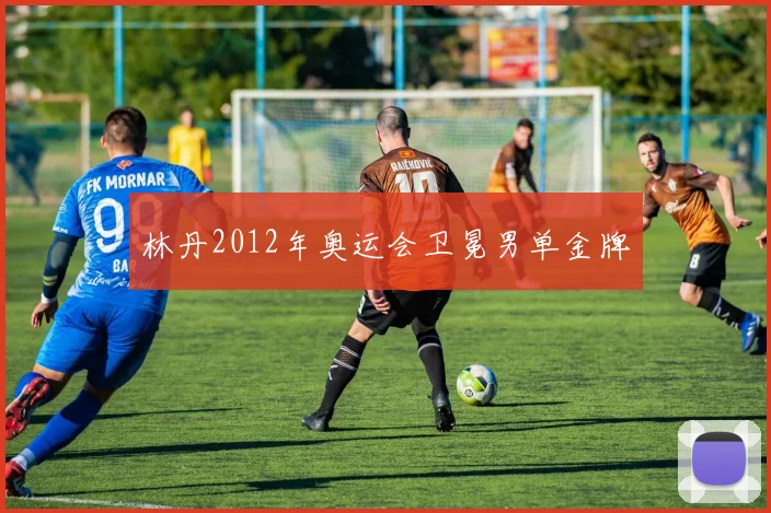林丹2012年奥运会卫冕男单金牌