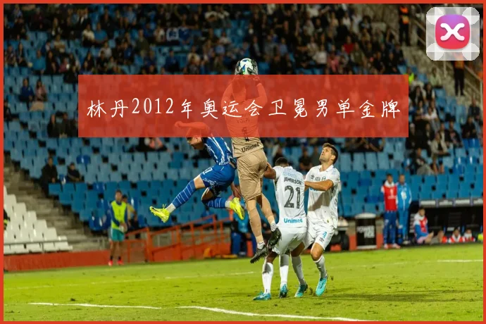 林丹2012年奥运会卫冕男单金牌