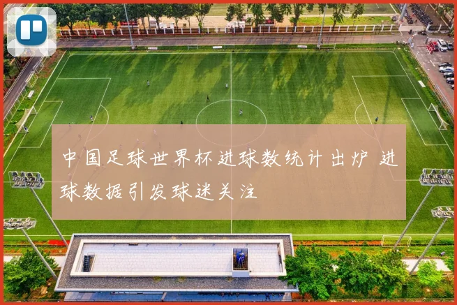 中国足球世界杯进球数统计出炉 进球数据引发球迷关注