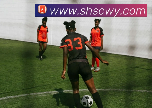 pg娱乐电子游戏平台官方版平台生态图